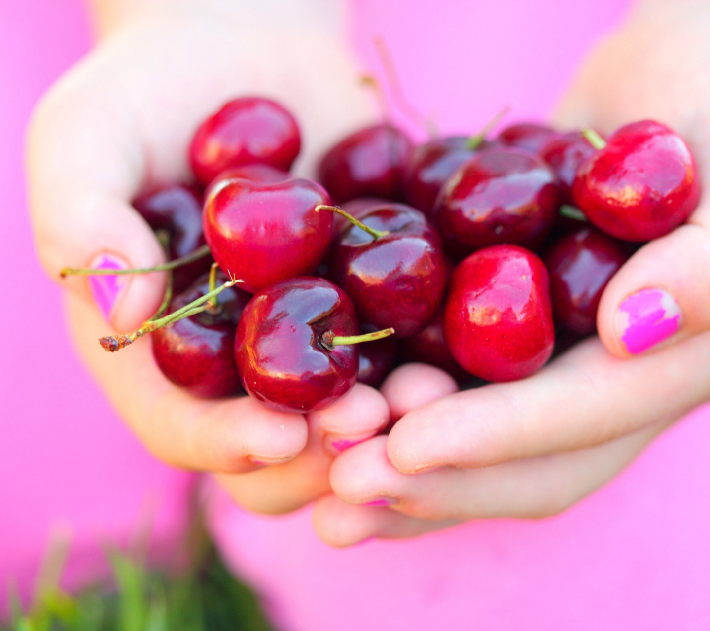 Das Cherries In Hands Wallpaper 1440x1280