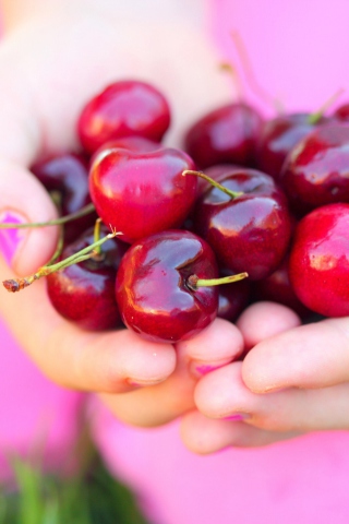 Обои Cherries In Hands 320x480