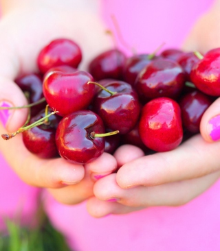 Cherries In Hands - Obrázkek zdarma pro LG Xenon