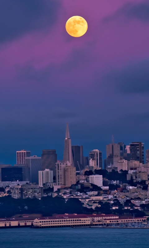 Orange Moon On Purple Sky screenshot #1 480x800