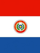 Das Paraguay Flag Wallpaper 132x176