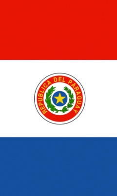 Das Paraguay Flag Wallpaper 240x400