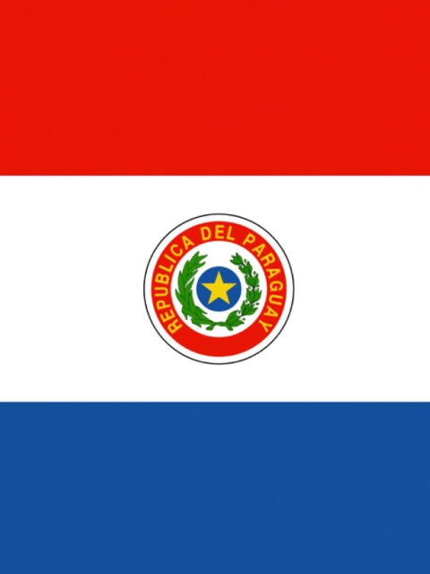 Das Paraguay Flag Wallpaper 480x640