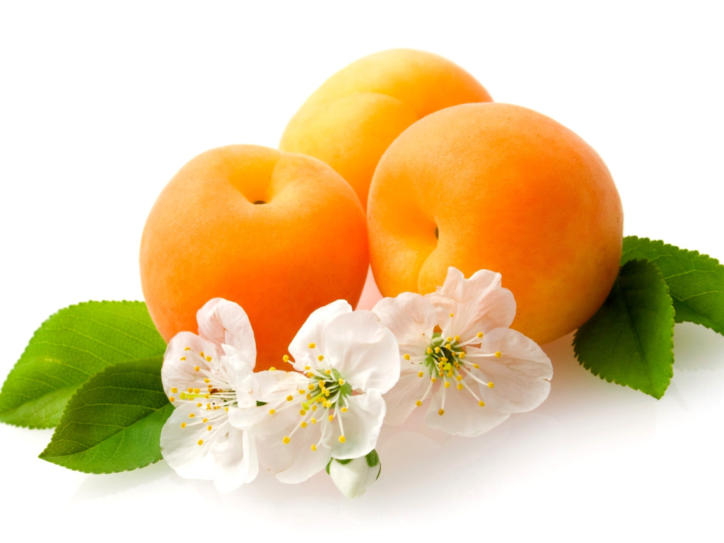 Das Apricot Fruit Wallpaper 1024x768