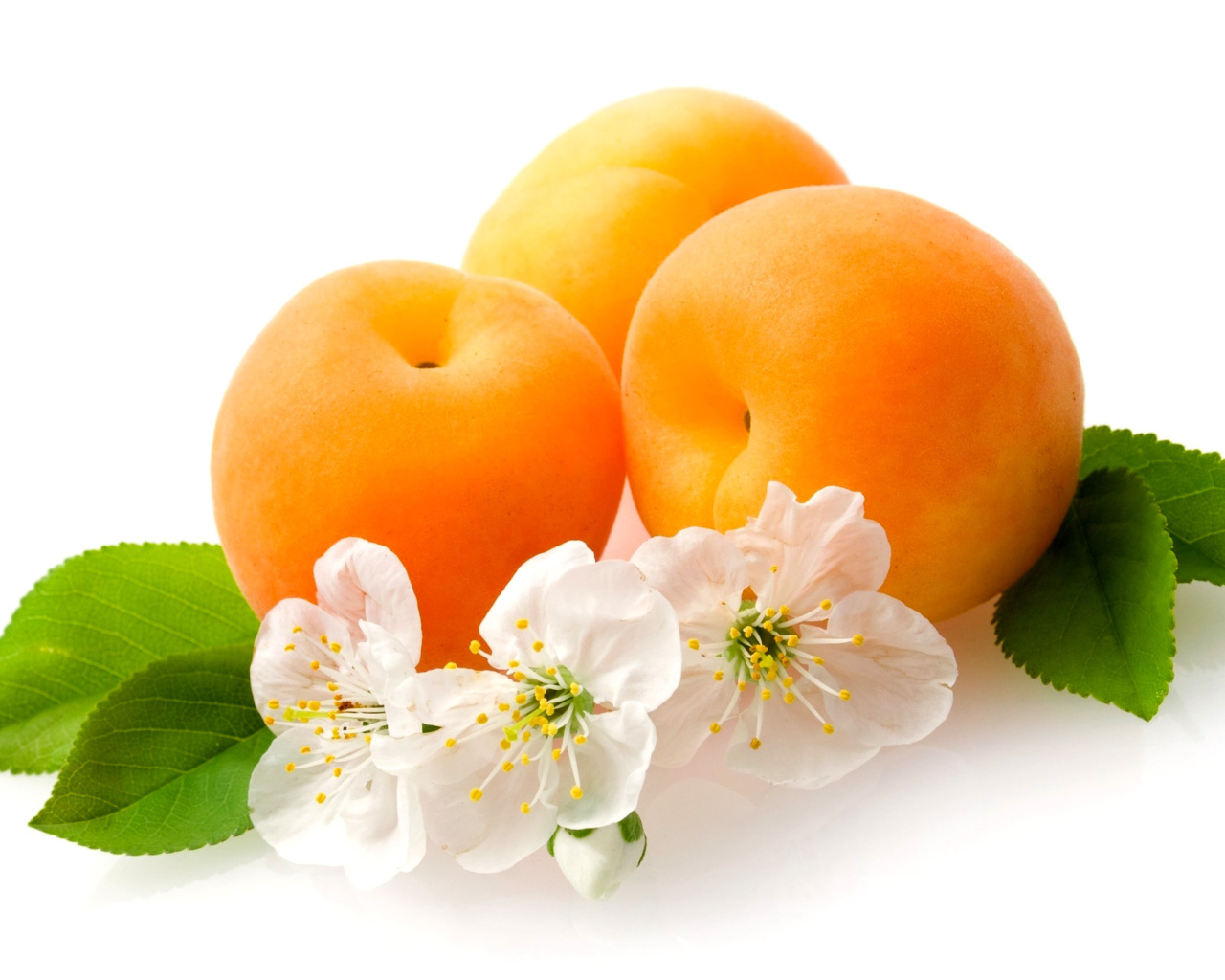 Das Apricot Fruit Wallpaper 1280x1024