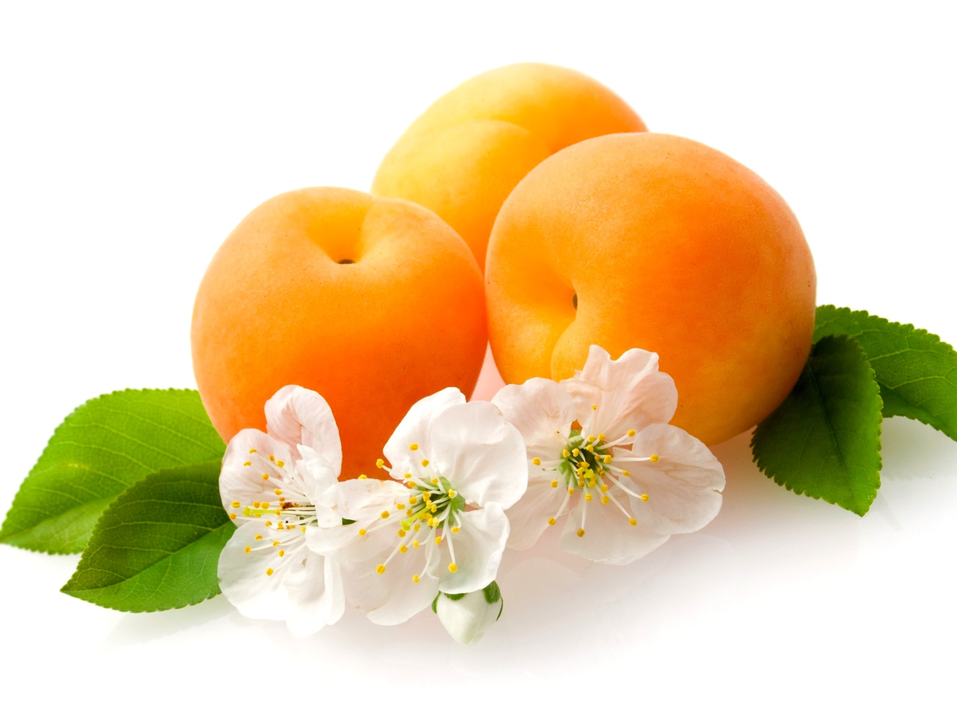 Обои Apricot Fruit 1920x1408