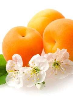 Обои Apricot Fruit 240x320