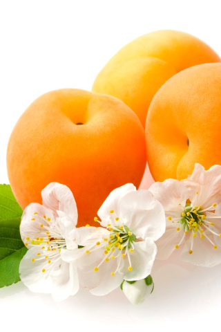 Apricot Fruit wallpaper 320x480