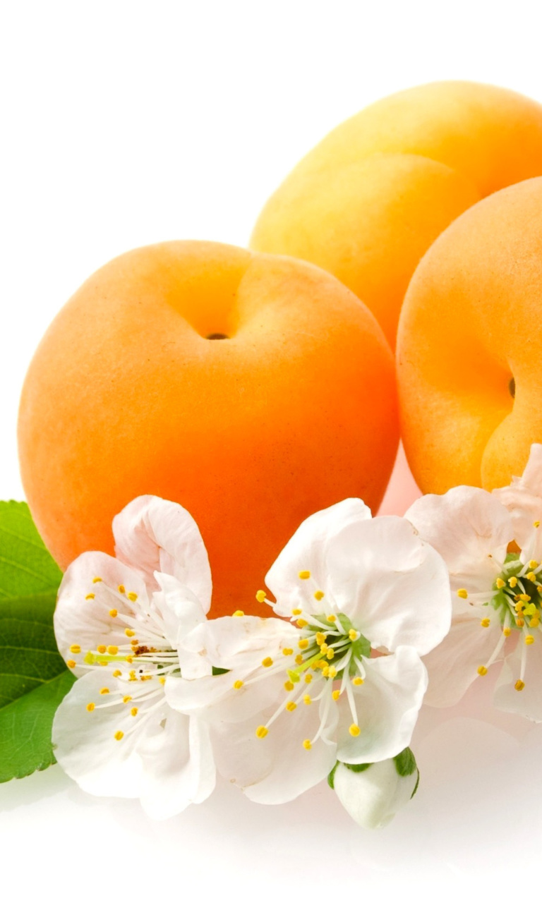 Обои Apricot Fruit 768x1280