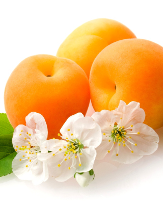 Apricot Fruit - Obrázkek zdarma pro Nokia C1-00