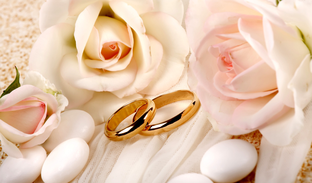 Обои Roses and Wedding Rings 1024x600