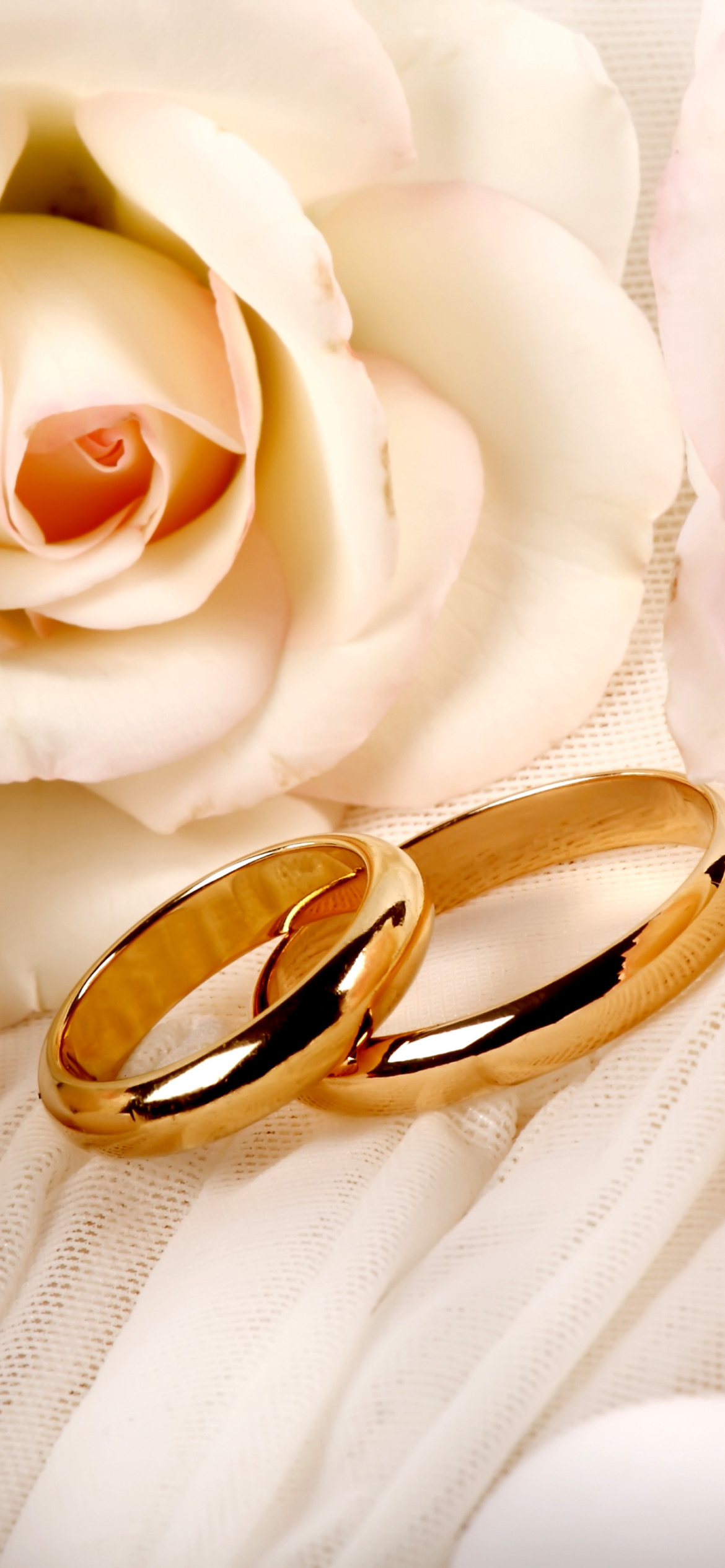 Roses and Wedding Rings wallpaper 1170x2532