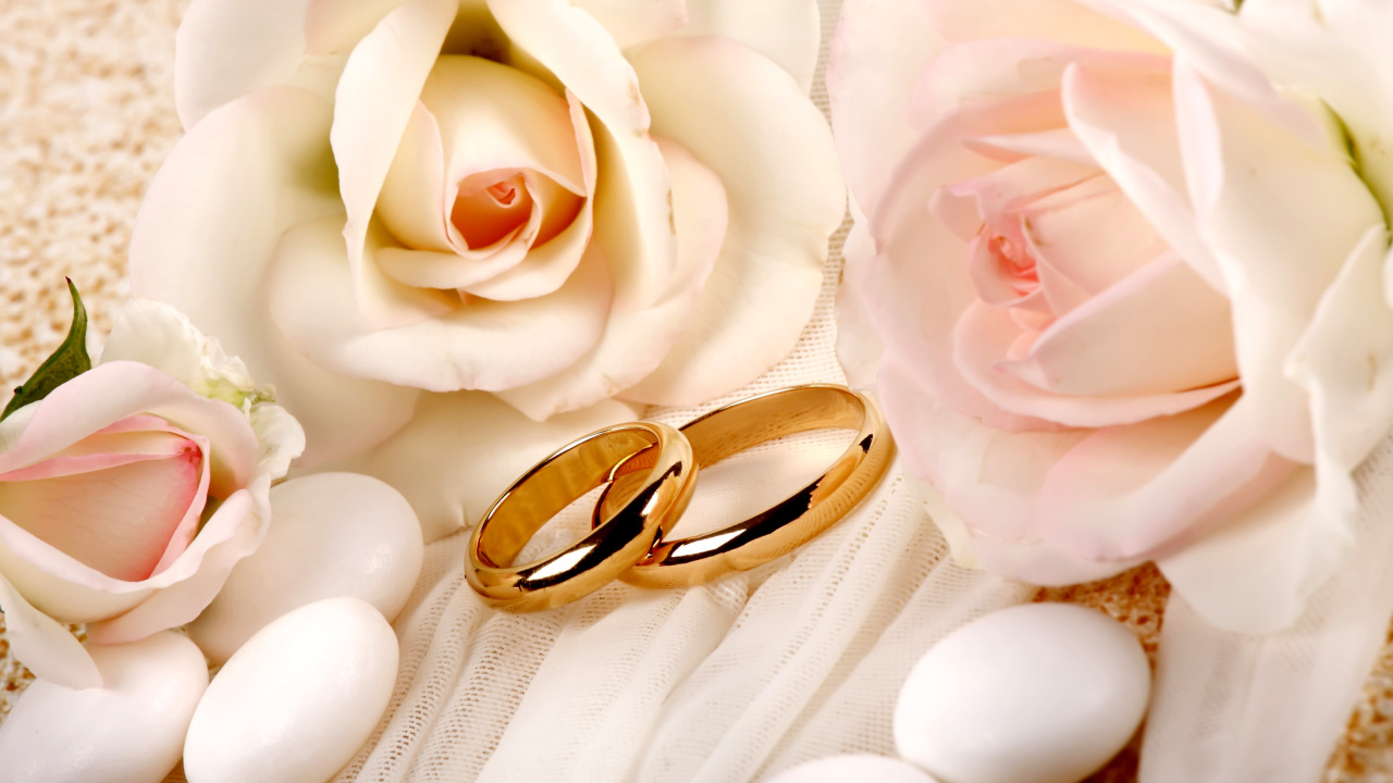 Fondo de pantalla Roses and Wedding Rings 1280x720