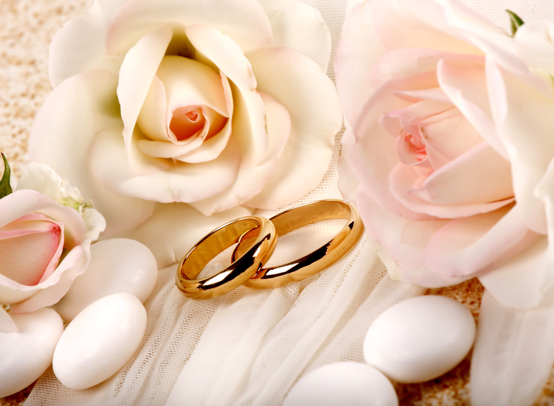 Fondo de pantalla Roses and Wedding Rings 1920x1408