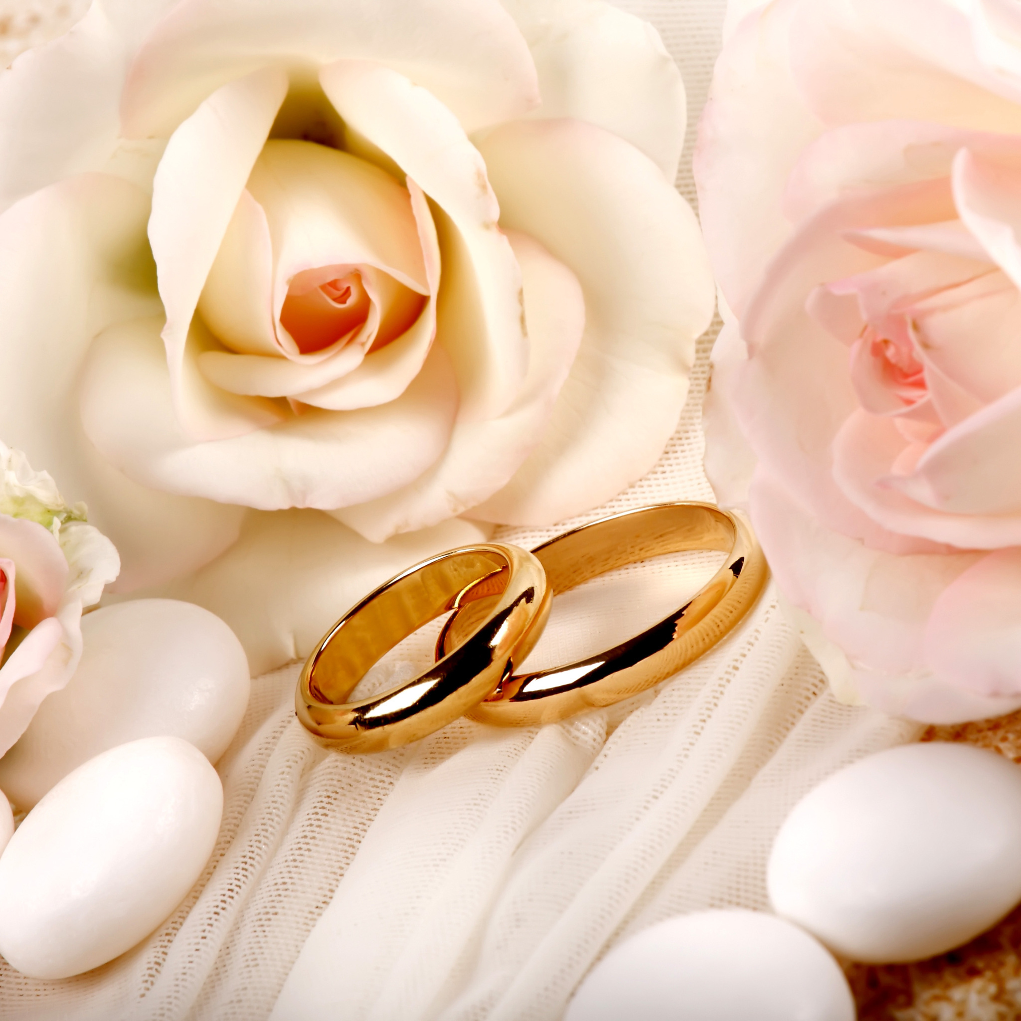 Das Roses and Wedding Rings Wallpaper 2048x2048