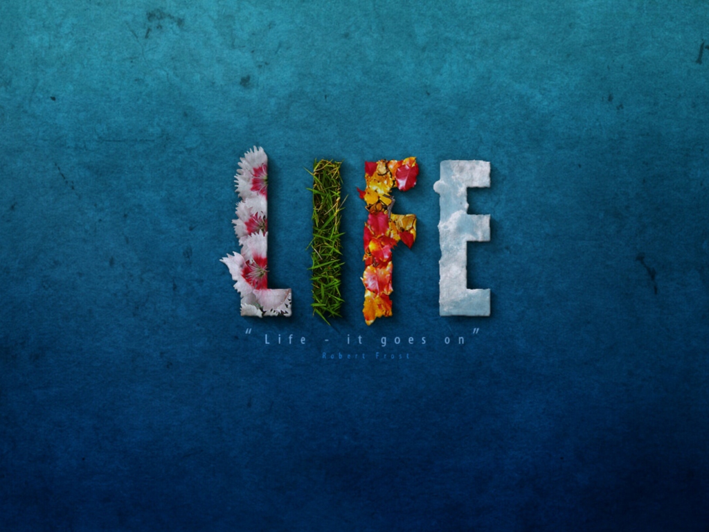 Das It's My Life Wallpaper 1024x768