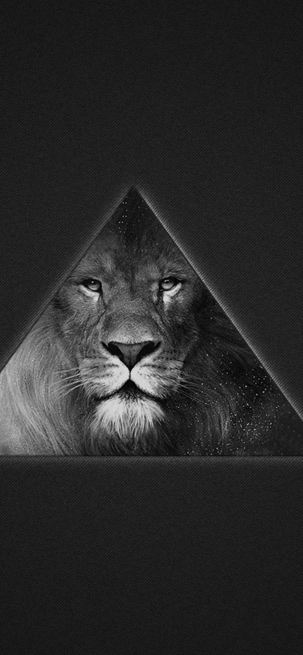 Lion's Black And White Triangle wallpaper 1170x2532