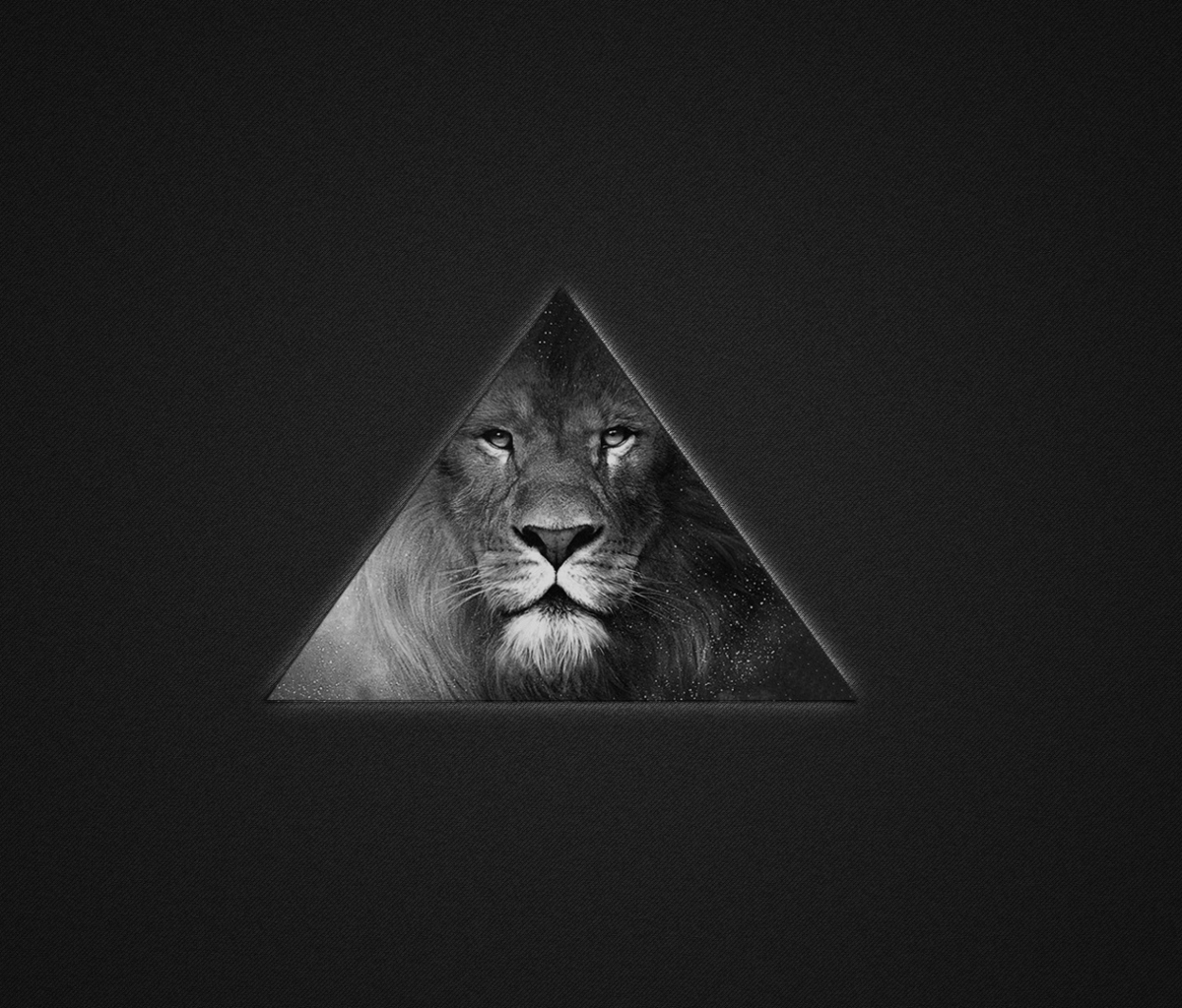 Обои Lion's Black And White Triangle 1200x1024