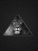 Das Lion's Black And White Triangle Wallpaper 132x176