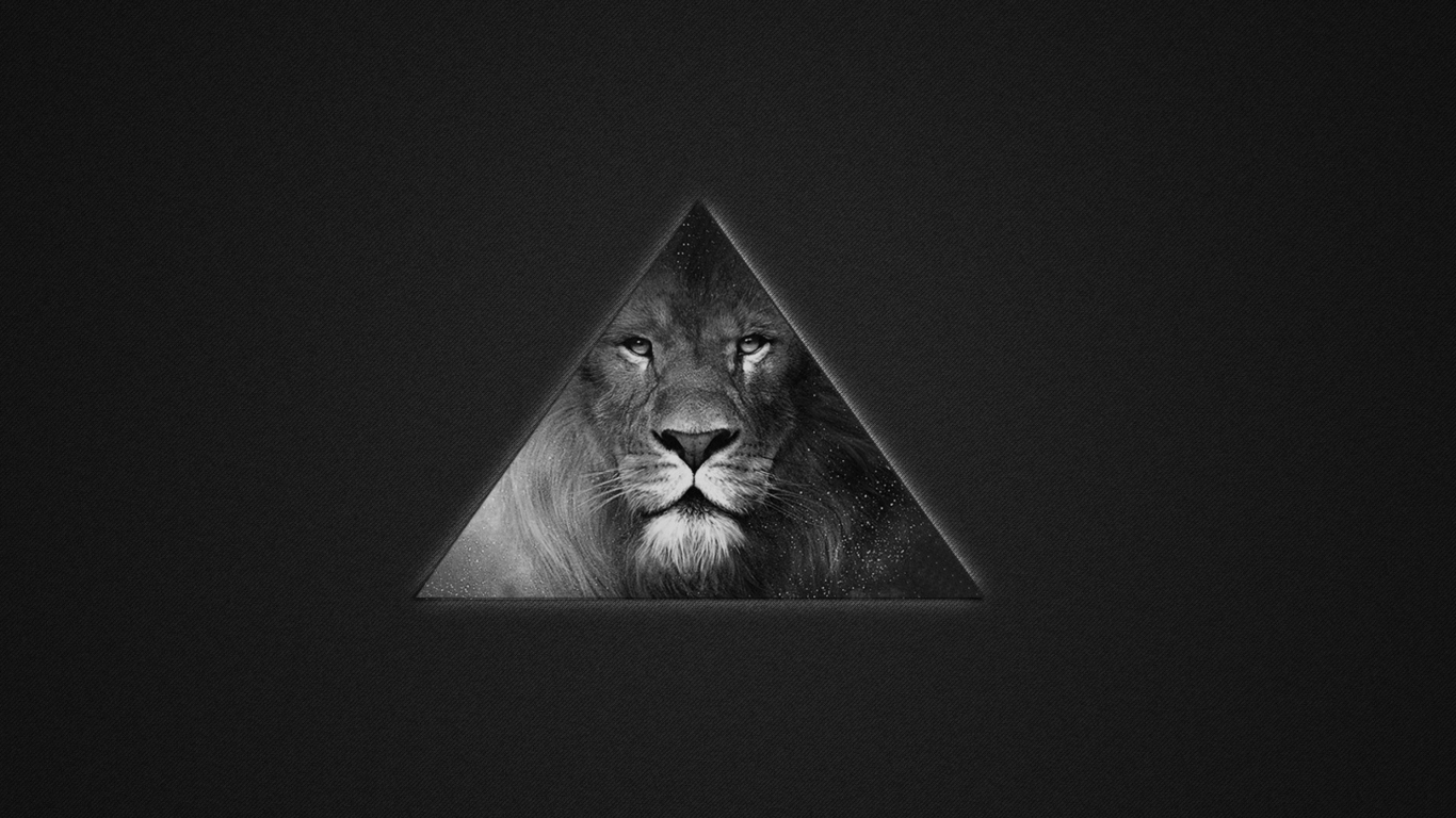 Lion's Black And White Triangle wallpaper 1366x768