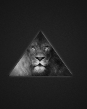 Das Lion's Black And White Triangle Wallpaper 176x220