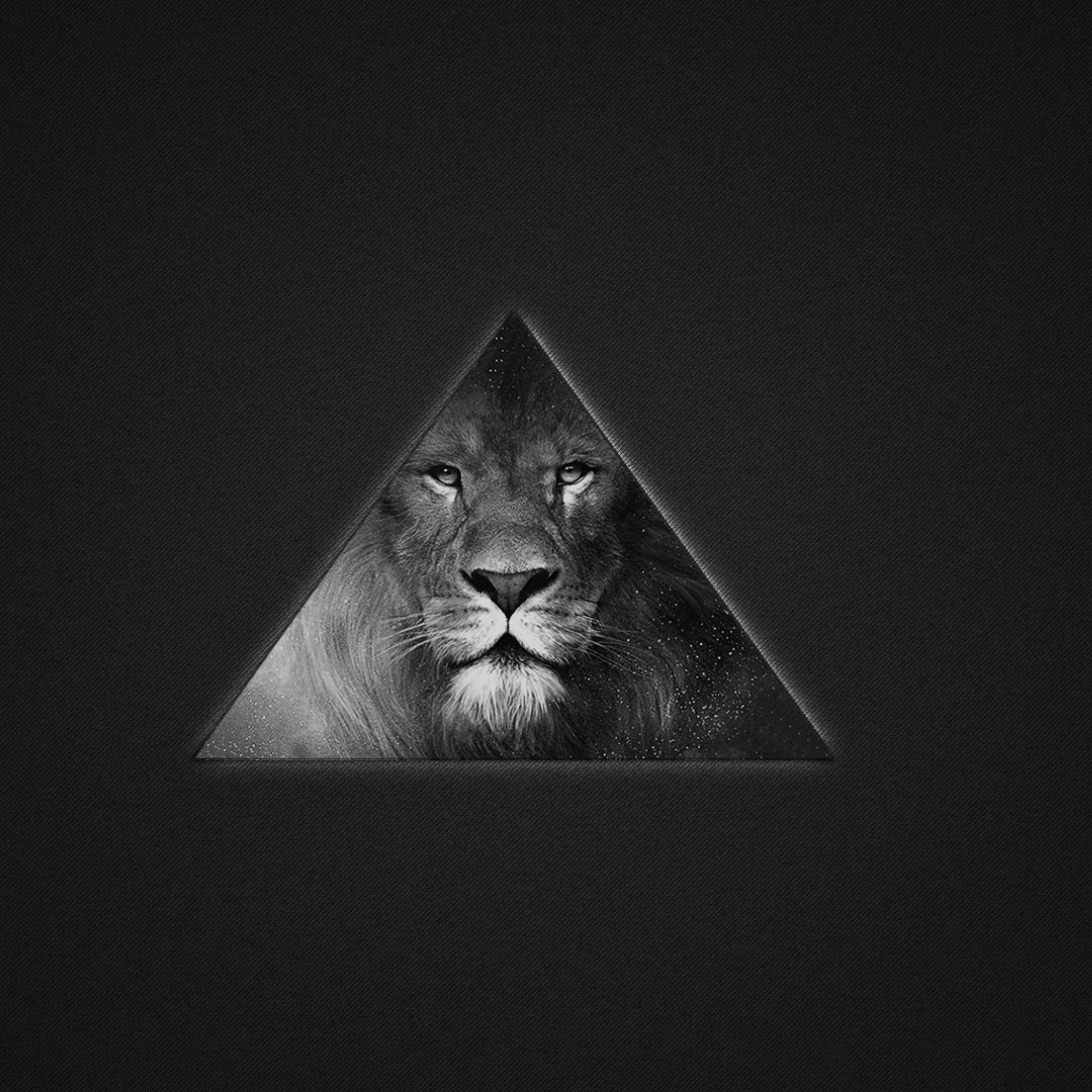 Обои Lion's Black And White Triangle 2048x2048