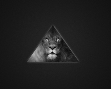 Lion's Black And White Triangle wallpaper 220x176