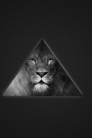 Fondo de pantalla Lion's Black And White Triangle 320x480