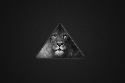 Обои Lion's Black And White Triangle 480x320