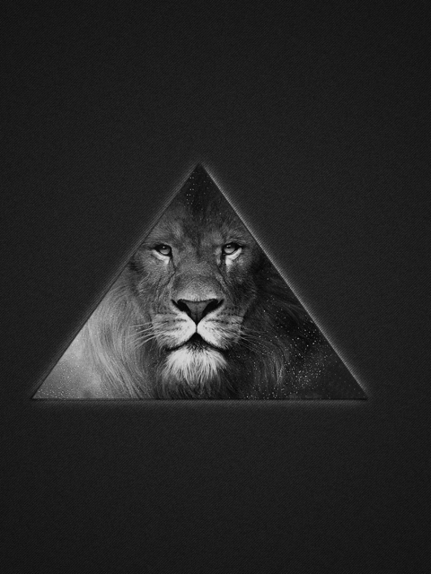 Fondo de pantalla Lion's Black And White Triangle 480x640