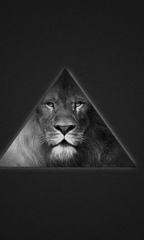 Sfondi Lion's Black And White Triangle 480x800