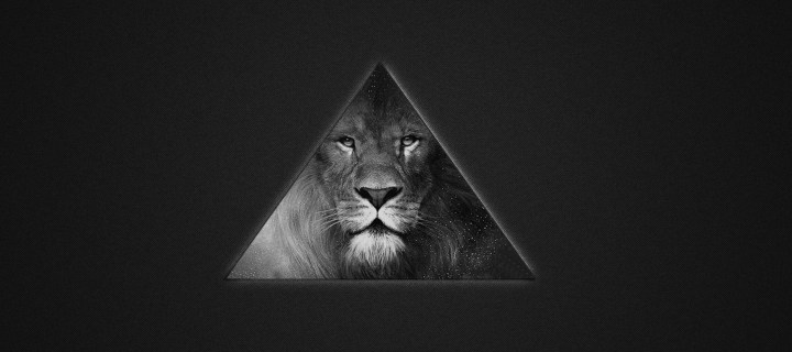 Обои Lion's Black And White Triangle 720x320