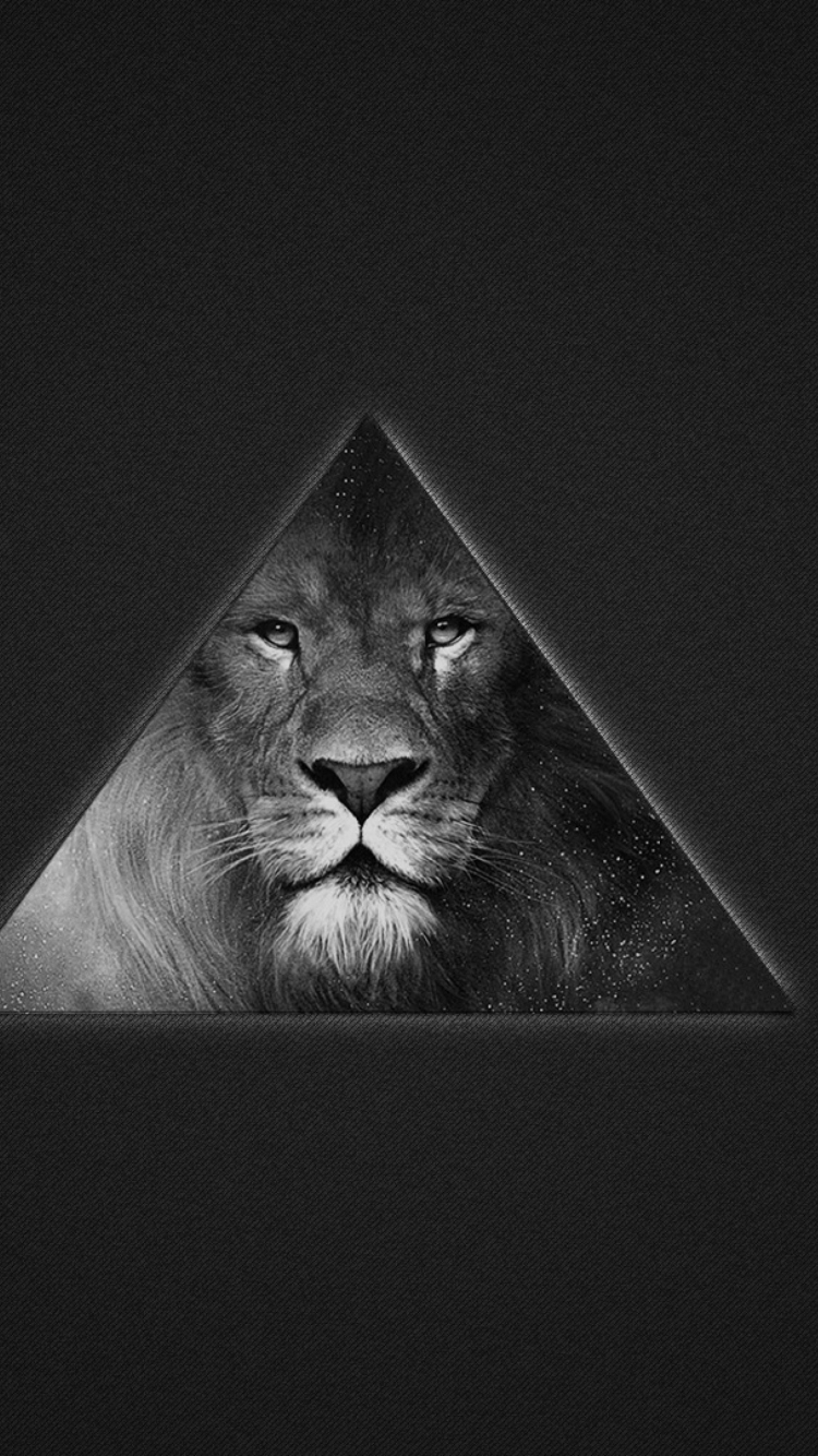 Das Lion's Black And White Triangle Wallpaper 750x1334