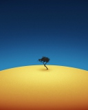 Lonely Tree wallpaper 128x160