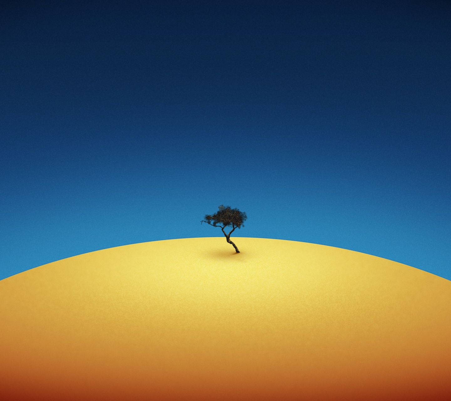 Обои Lonely Tree 1440x1280