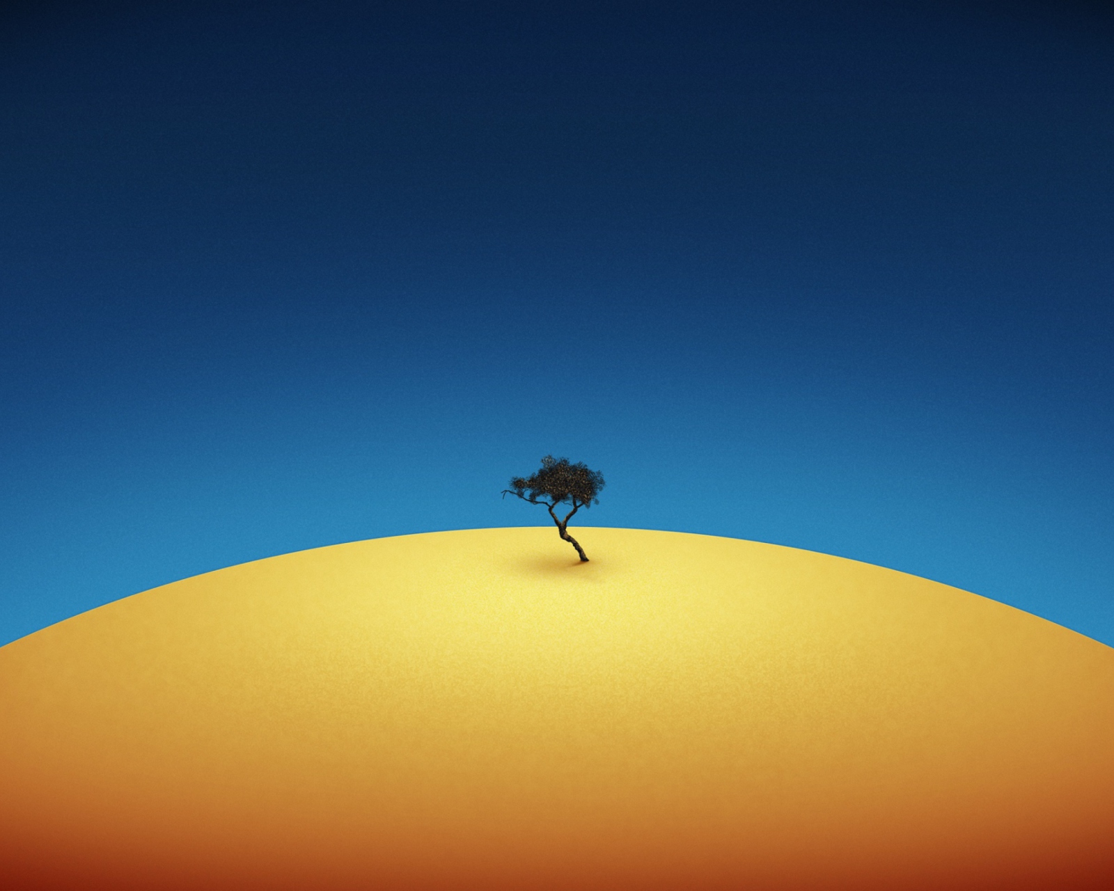 Fondo de pantalla Lonely Tree 1600x1280