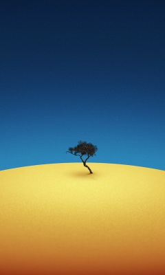 Lonely Tree wallpaper 240x400