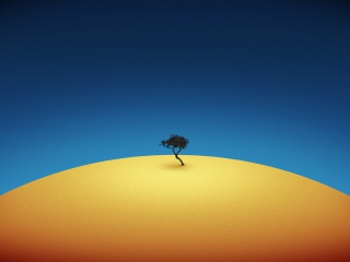 Das Lonely Tree Wallpaper 320x240