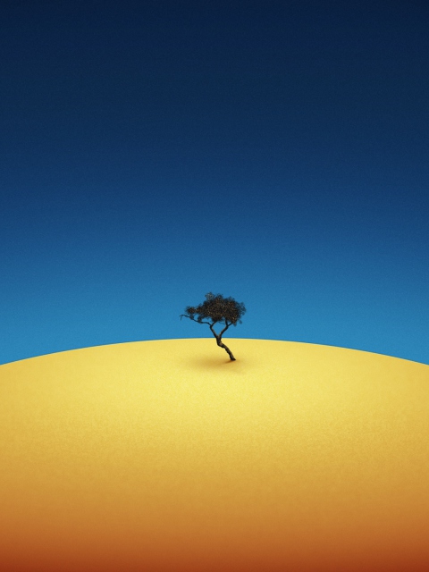 Lonely Tree wallpaper 480x640