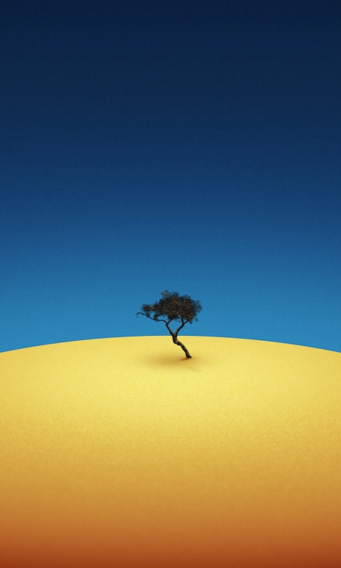 Lonely Tree wallpaper 480x800