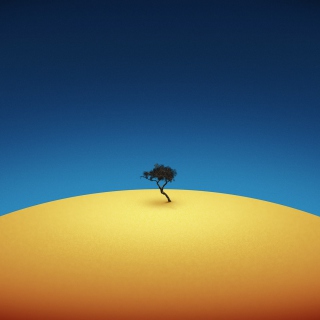Lonely Tree - Obrázkek zdarma pro iPad Air