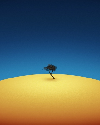 Lonely Tree - Obrázkek zdarma pro 480x800