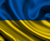 Sfondi Ukraine Flag 176x144