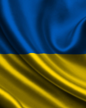 Sfondi Ukraine Flag 176x220