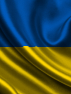Sfondi Ukraine Flag 240x320