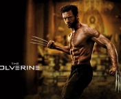 The Wolverine 2013 Movie wallpaper 176x144