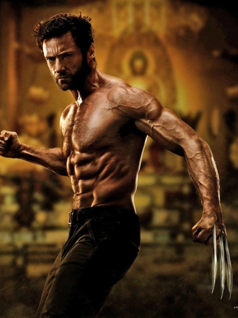 The Wolverine 2013 Movie wallpaper 480x640