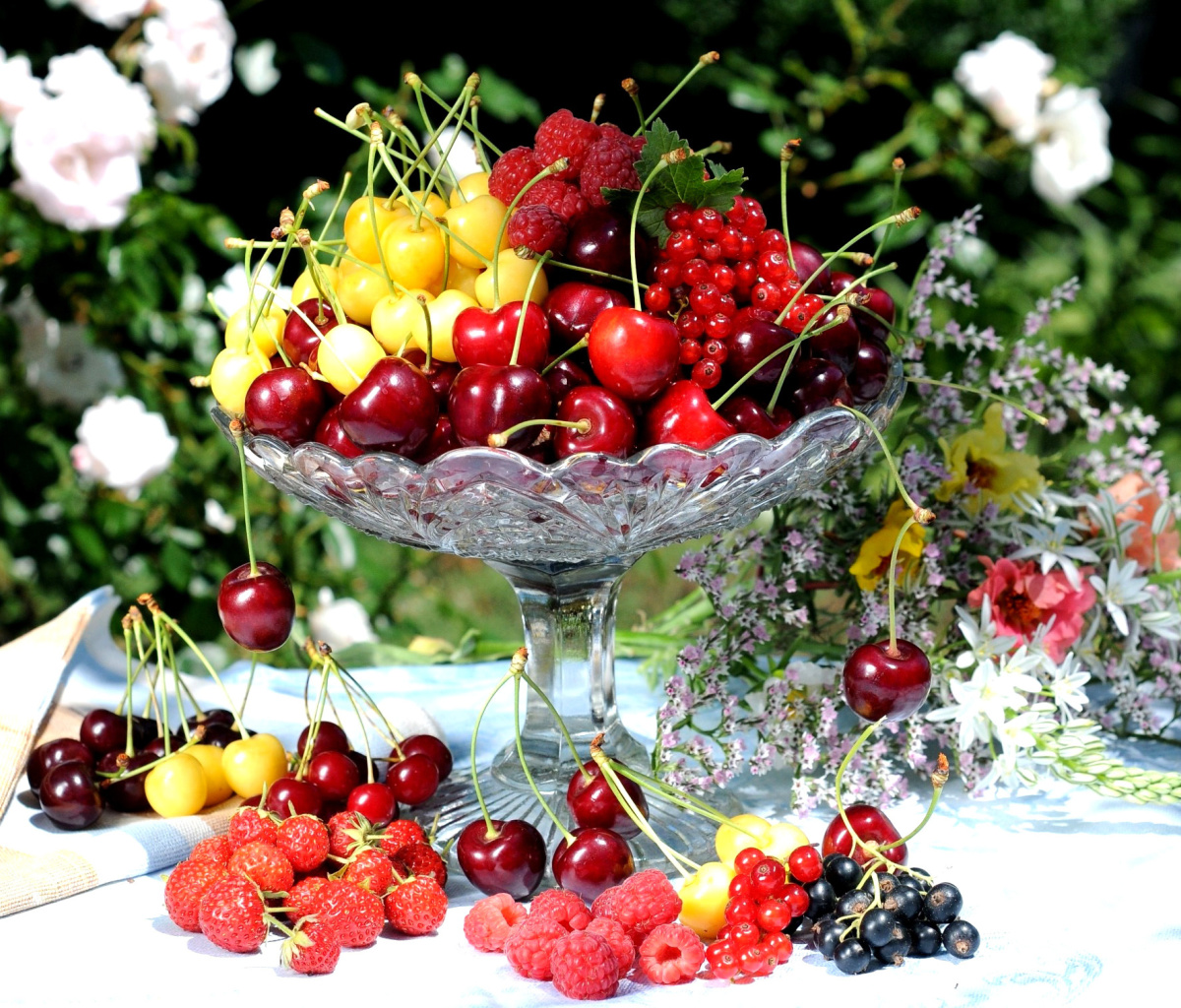 Fondo de pantalla Summer berries and harvest 1200x1024