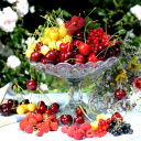 Summer berries and harvest wallpaper 128x128