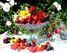 Summer berries and harvest wallpaper 220x176